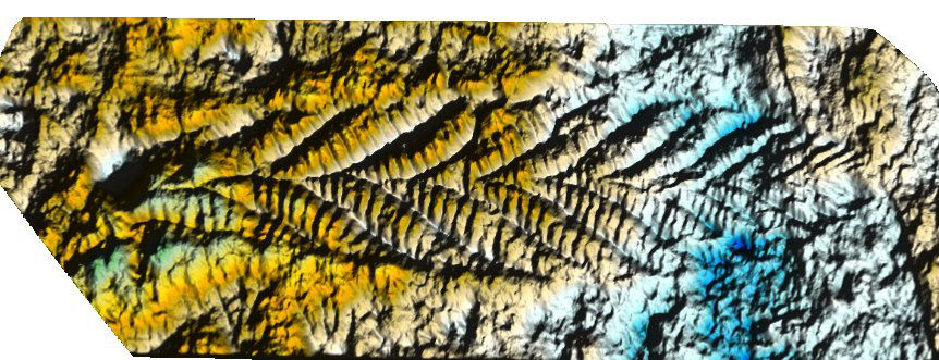 Fossil